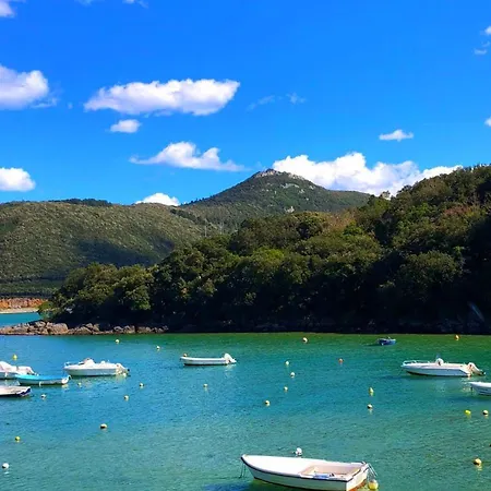 Sokaire De Urdaibai Junto A Mundaka